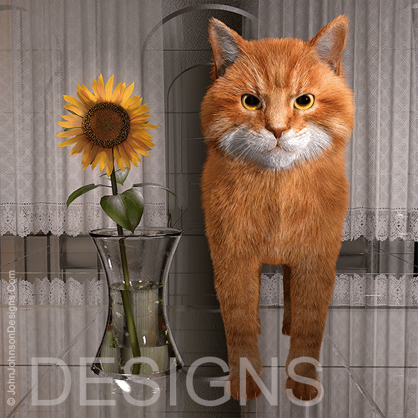 John Johnson Designs - Digital Marketing - with Jimmy The Cat